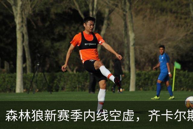 森林狼新赛季内线空虚，齐卡尔斯基需要抓住机会