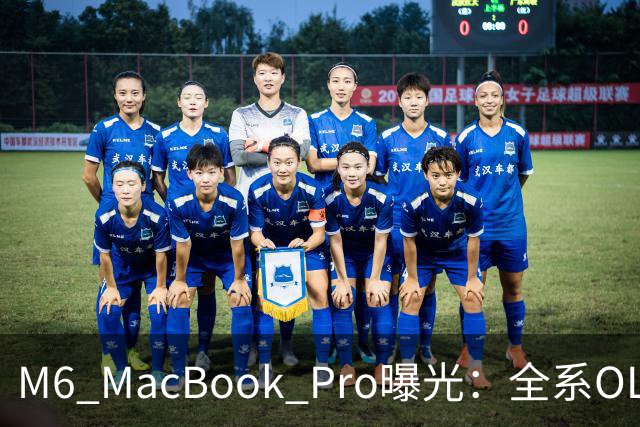 M6 MacBook Pro曝光：全系OLED与AI升级